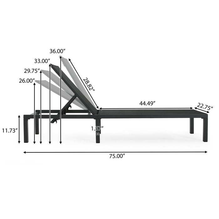 Westport - Outdoor Chaise Lounge (Set of 2) - Black